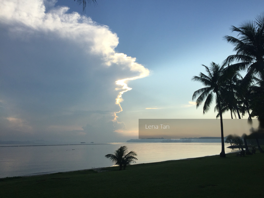 Oasis @ Elias (D18), Condominium #123117452